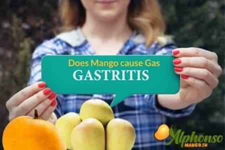 Does mango cause gas in babies - AlphonsoMango.in