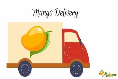 Easy Mango Delivery: Order Online for Home Delivery - AlphonsoMango.in