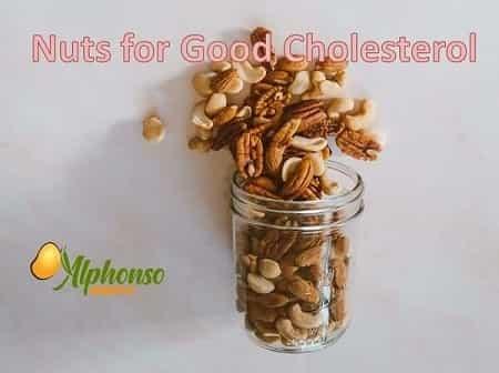 Nuts for Good Cholesterol - AlphonsoMango.in