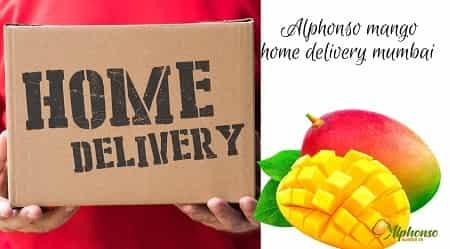 Alphonso Mango Home Delivery Mumbai - AlphonsoMango.in
