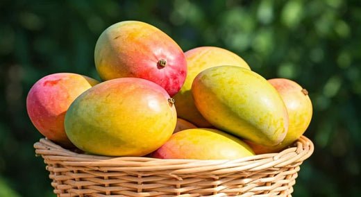 Exclusive Deals on Mangoes Online: Best Price Offer - AlphonsoMango.in