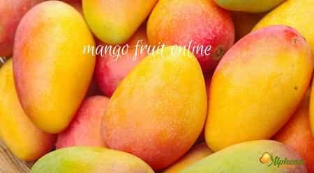 Mango fruit online - AlphonsoMango.in