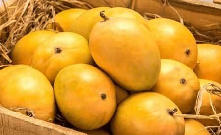 Mango Home Delivery - AlphonsoMango.in