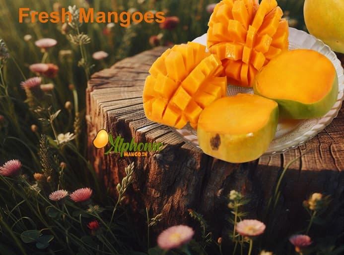 Fresh mangoes