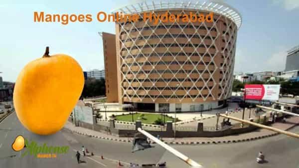 Mangoes Online Hyderabad