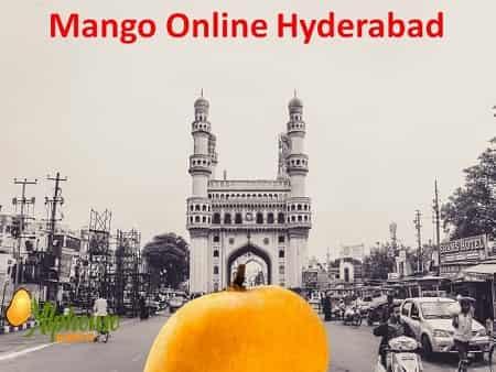 Mango Online Hyderabad - AlphonsoMango.in