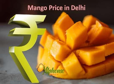 Get to Know Alphonso Mango Price in  Delhi - AlphonsoMango.in