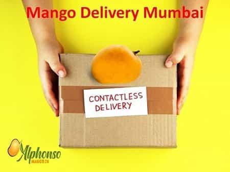 Get Your Mango Fix: Online Mango Delivery in Mumbai - AlphonsoMango.in