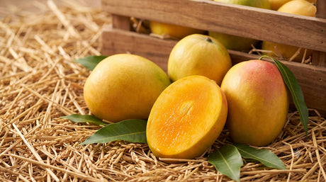 Hapus Aam Relish the sweetness of Alphonso Manogoes from Konkan