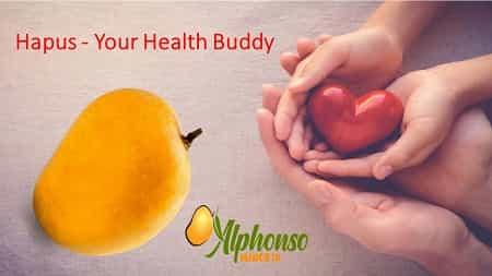 Hapus: Your Health Buddy! - AlphonsoMango.in