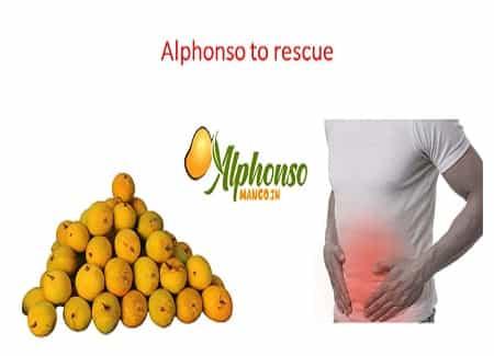 Health issue? Alphonso to your rescue! - AlphonsoMango.in