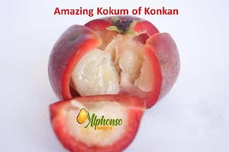 Healthy Kokum Aamsul Spice Benefits - AlphonsoMango.in