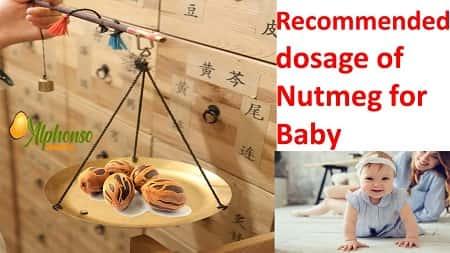 Healthy Nutmeg for Baby - AlphonsoMango.in