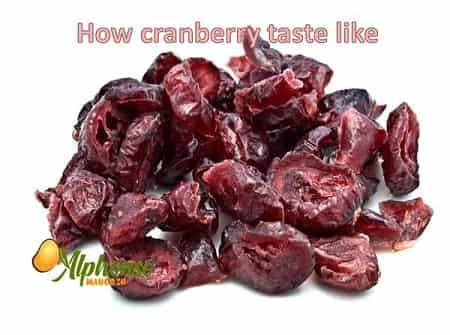 How cranberry taste like - AlphonsoMango.in