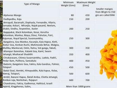 How Much Does A Mango Weigh - AlphonsoMango.in