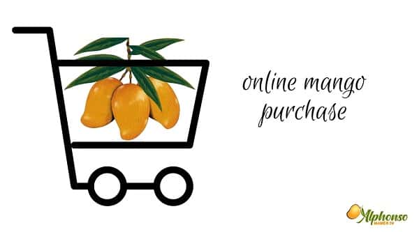 How to Buy Mango Online! Online Mango Purchase - AlphonsoMango.in