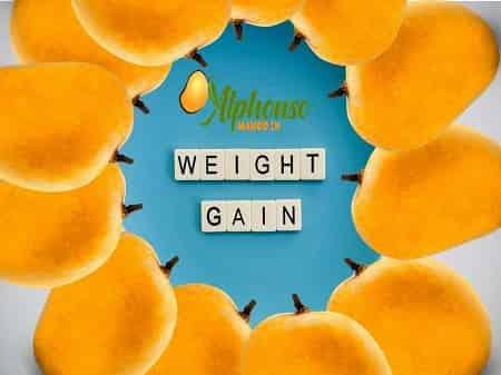 How to gain weight Fast and safely with Mango - AlphonsoMango.in