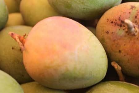 How to Order Alphonso Mangoes online