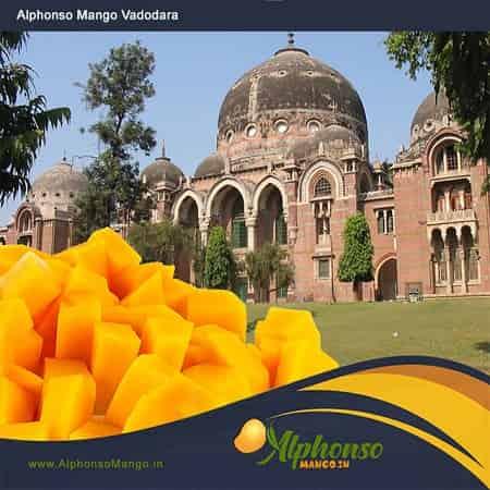 Alphonso Mango in Vadodara - AlphonsoMango.in