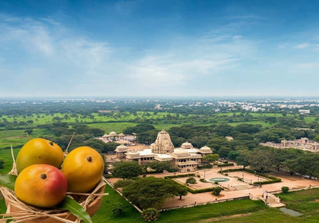 Delicious Mangoes