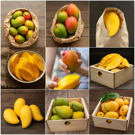 Alphonso mangoes