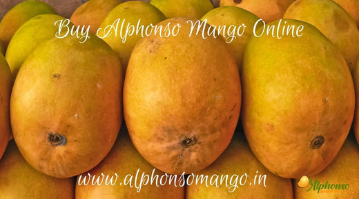 buy alphonso mango online - AlphonsoMango.in