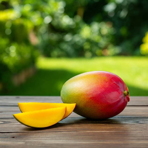 Best mangoes in the world Hapus Aam or Alphonso Mangoes