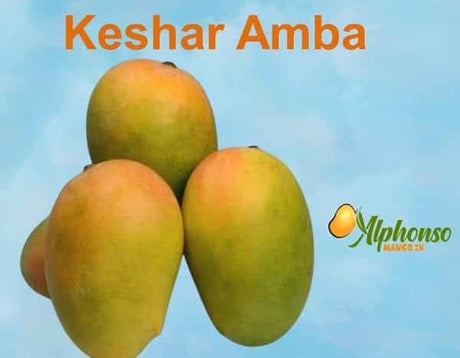 Keshar Amba