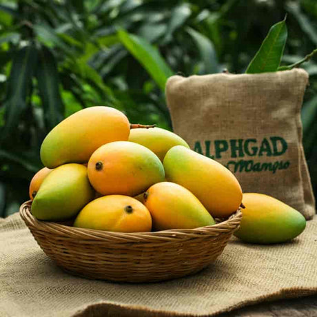 Buy Devgad Mangoes Online