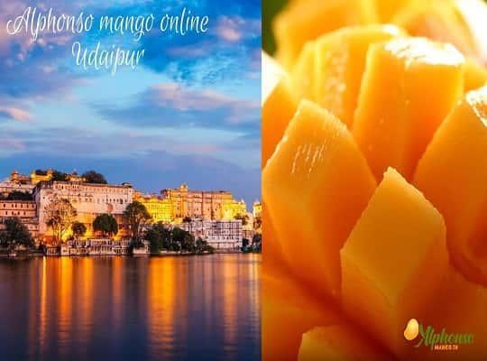 Alphonso Mango Online Udaipur - AlphonsoMango.in