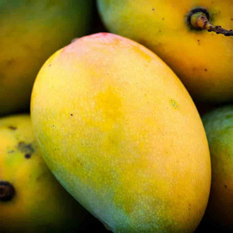 Direct from Farmers: Alphonso Mango Online Purchase