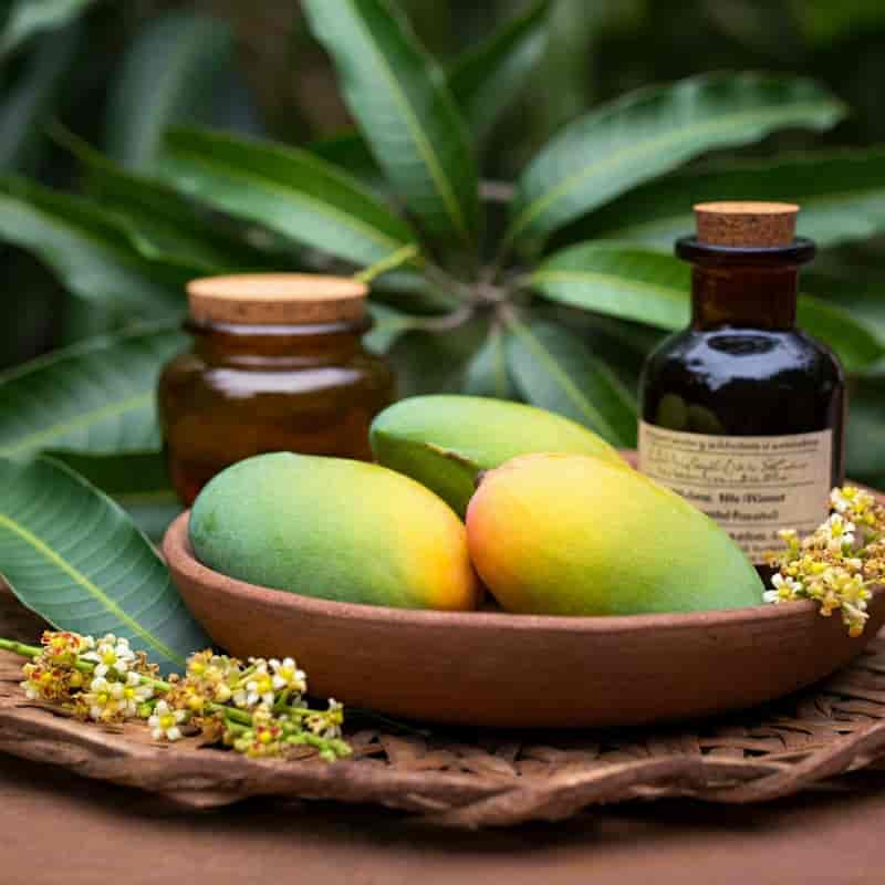 Mango Medicinal Values