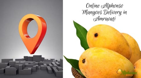 Online Alphonso Mangoes Delivery In Amravati