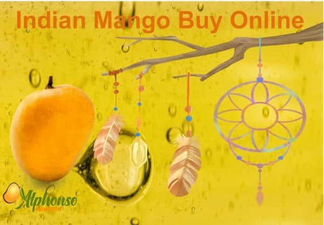 Indian Mango Buy Online: AlphonsoMango.in - Order Now - AlphonsoMango.in