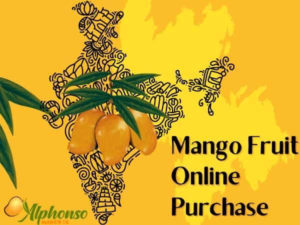 Indian Mango Buy Online