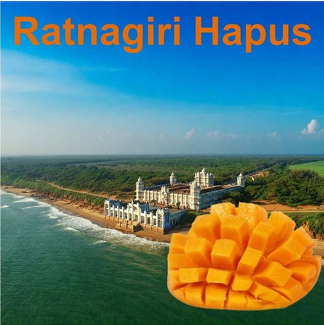 Indulge in Ratnagiri Hapus: Taste the Finest Mango - AlphonsoMango.in