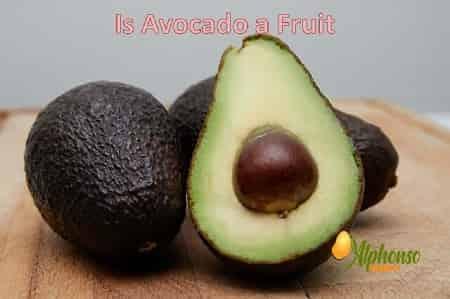 Is Avocado a Fruit? - AlphonsoMango.in