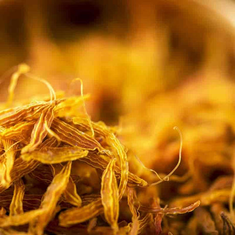 Kashmiri Kesar: Buy the Best Saffron from Kashmir Valley - AlphonsoMango.in