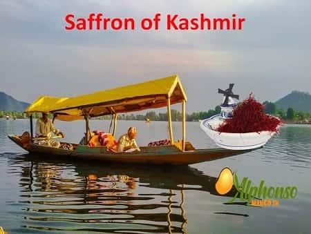 Saffron from Kashmir - AlphonsoMango.in