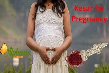 Kesar in Pregnancy | Kesar for Pregnancy - AlphonsoMango.in