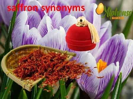 Know the Saffron synonyms - AlphonsoMango.in