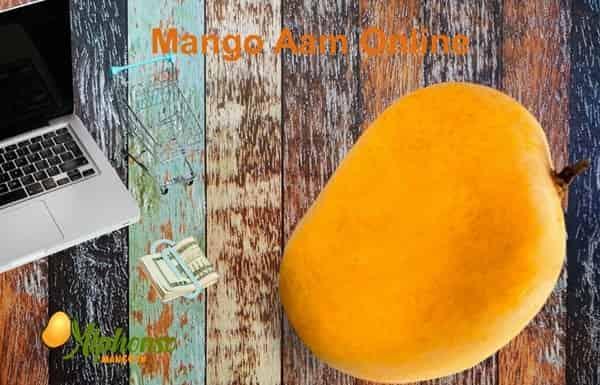 Mango aam Online