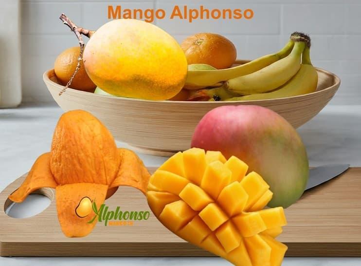 Mango Alphonso premium quality fruits at your doorstep