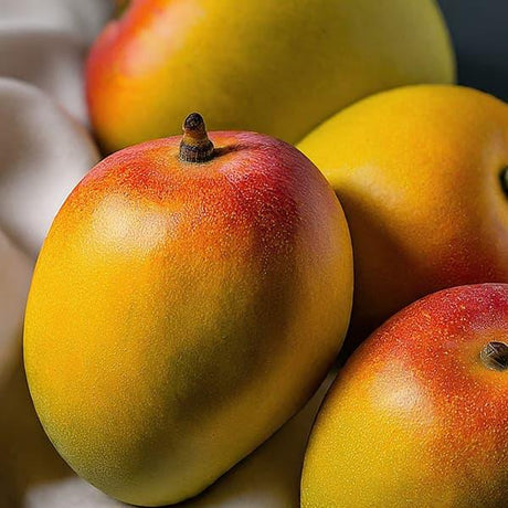 Mango Alphonso Magic: Tropical Delight Unveiled - AlphonsoMango.in