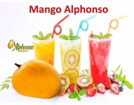Mango Alphonso: The Wonder of Konkan Mango - AlphonsoMango.in