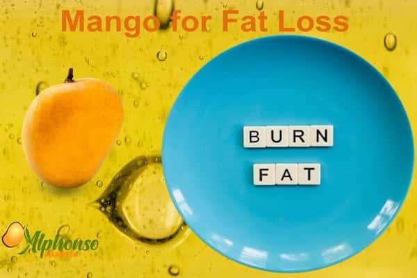Mango for Fat Loss