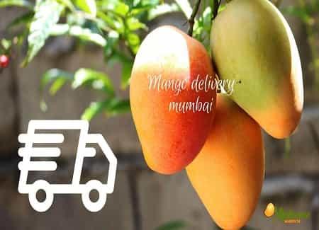 Mango Delivery Mumbai