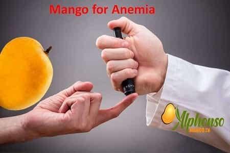 Mango for Anaemia - AlphonsoMango.in