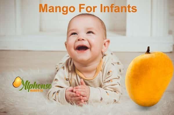 Mango for Infants: Introducing a Nutritious Addition - AlphonsoMango.in