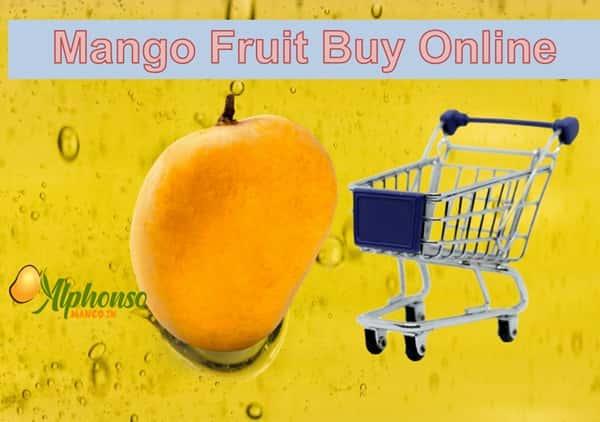 Mango Fruit Buy Online